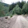 IMG-20220908-WA0013